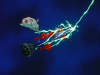 VTS_05_1 0000087.jpg
